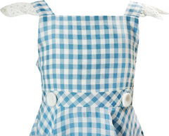Baby Girls Wizard Of Oz Dorothy Blue Gingham Pinafore Dress - Blue/White